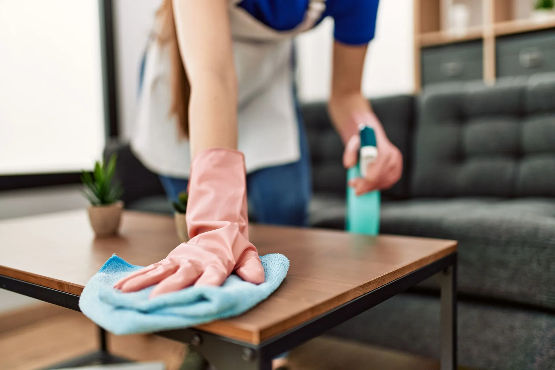 The Green Clean Team - Standard Cleaning- Hero